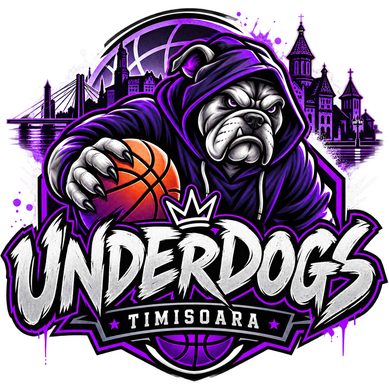 Underdogs Timisoara